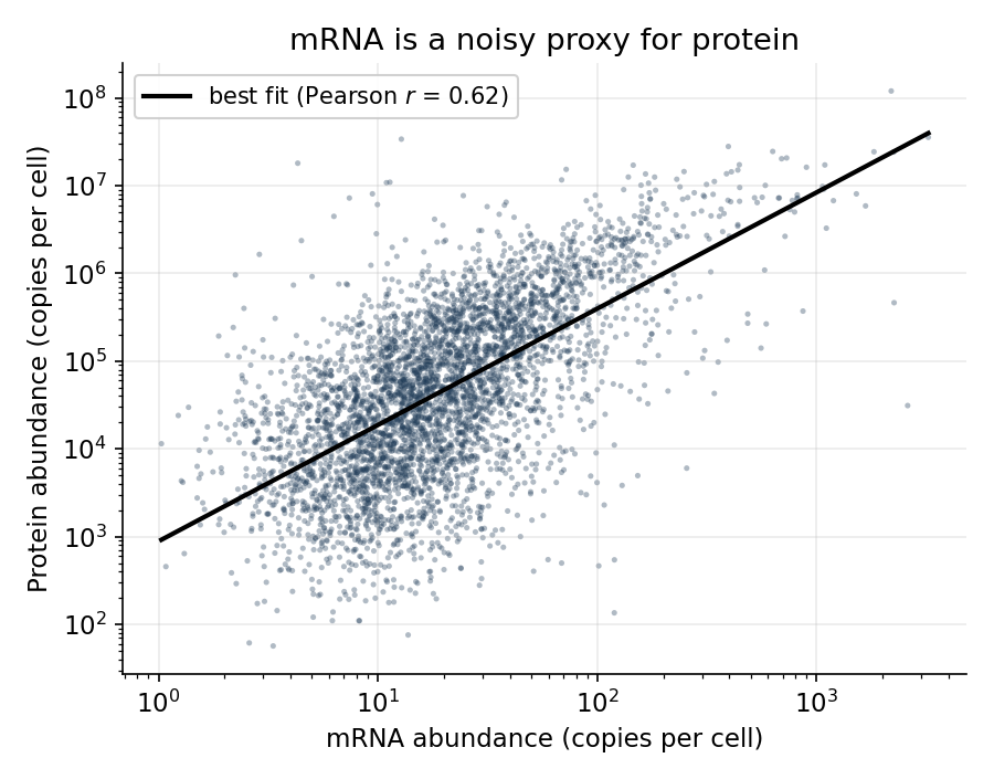 **Figure 2**
